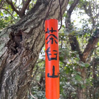 たまには赤い表札で