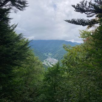 遠くに小菅村の中心地。でも、ここも茂っていて、あまりよく見えず。