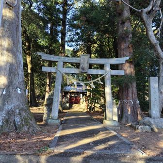尾根コースを順調に進み鹿島神社に下山しました

今日も愉快だったなぁ