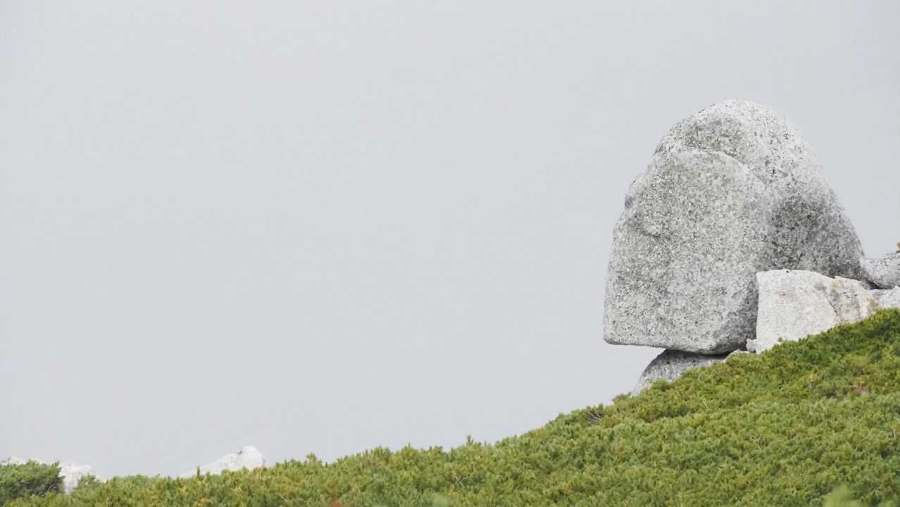 中央アルプス縦走（木曽駒ヶ岳〜空木岳） の写真 61