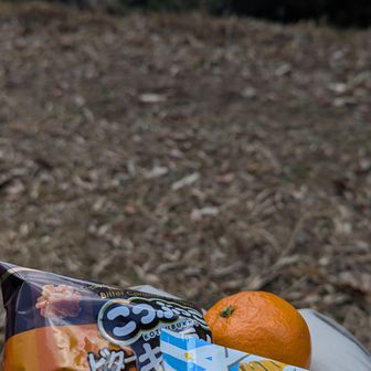 初めて見つけた　ベンチ
オヤツ
頂きます🍊