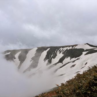下山はガスガスの中を下って行く🚶‍♀️‍➡️