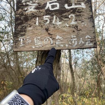 愛宕山、眺望なし