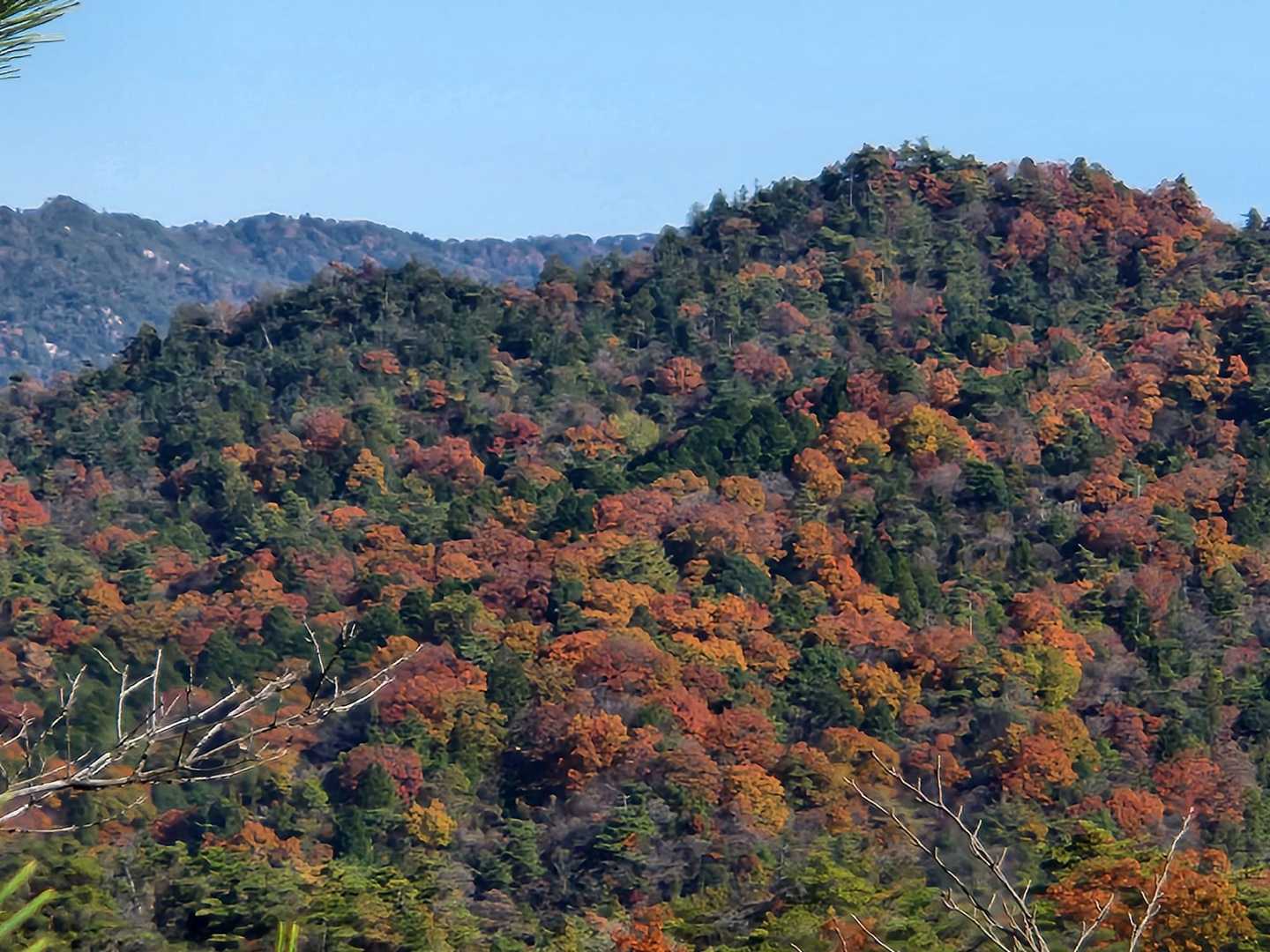 アルプス登山口バス停-堂山 周回コースの写真