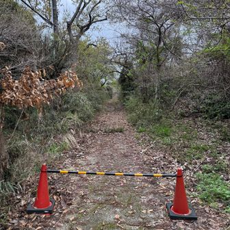 円海山の山頂。