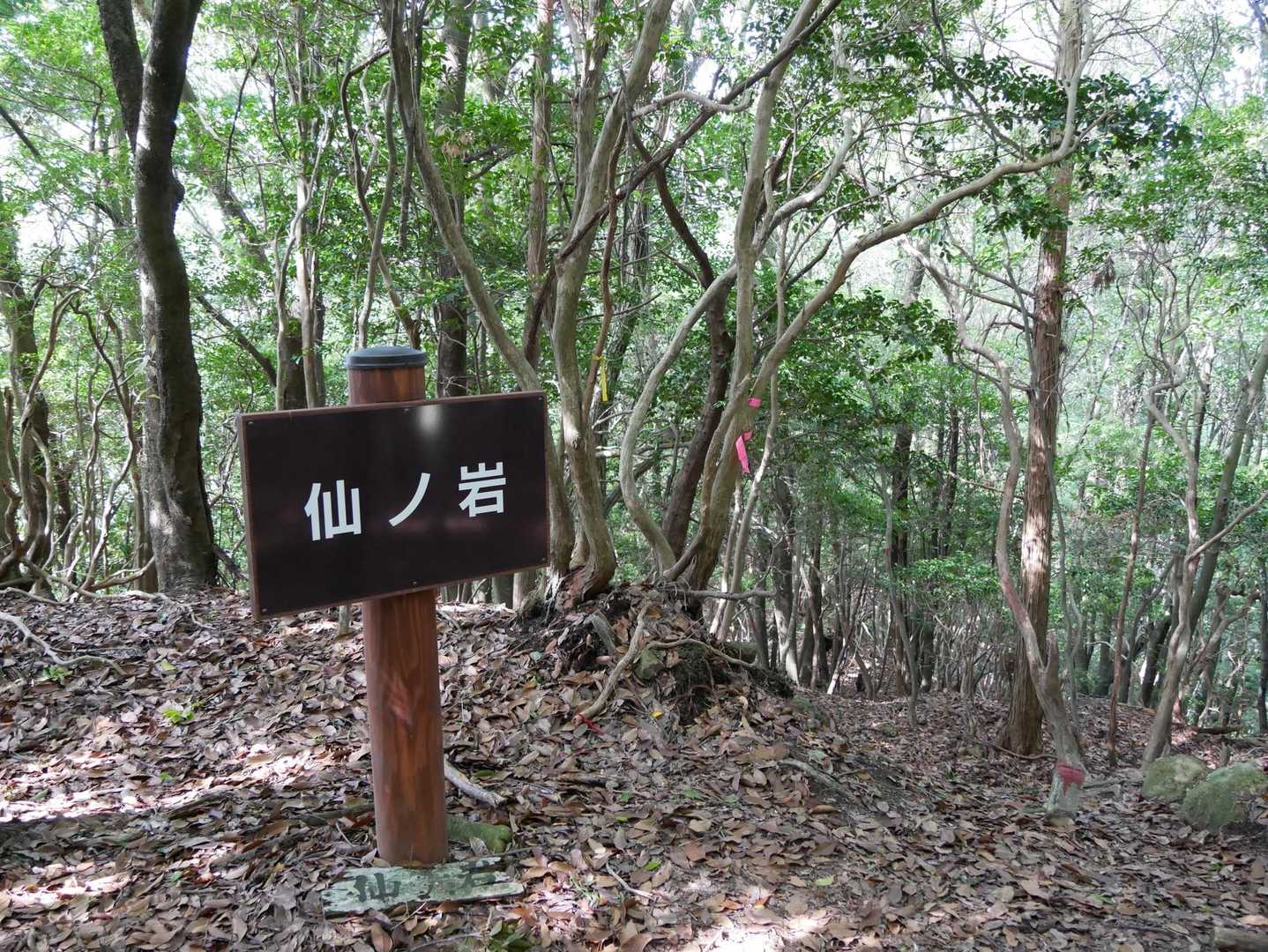 千年杉を見逃した隊長😂
仙の岩もどれかわからん❓😭