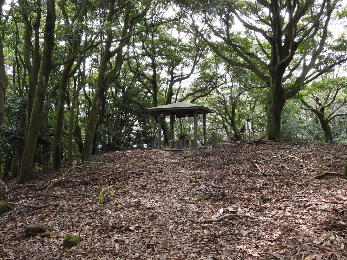 ゆっくり歩きの45分ほどで猪群山山頂。