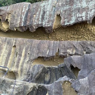 海食洞（Sea Cave）または海食窪（Sea Niche）