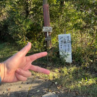 みーっつ🤟