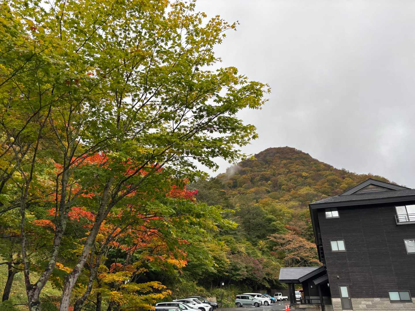 猿ヶ鼻-甲子山 往復コースの写真