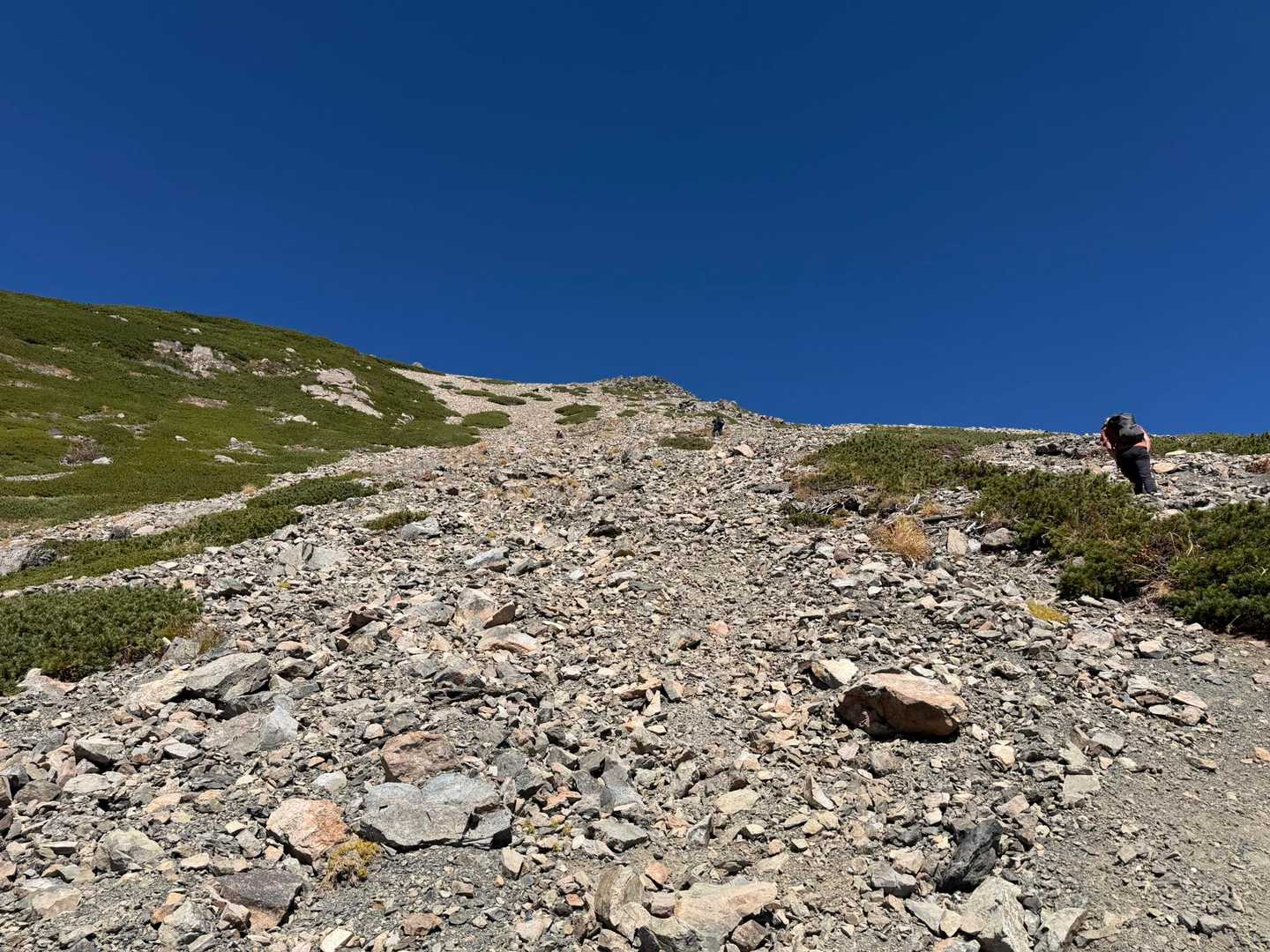 芝沢ゲート-易老渡-大木の広場-苔平-小聖岳-聖岳 往復コースの写真