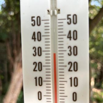 気温が上昇して28℃超え