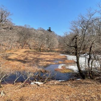 長池まで来た🤗

水少なめ
