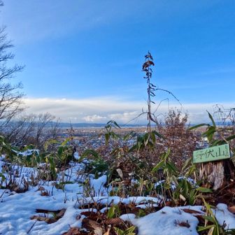野伏山　標高233m