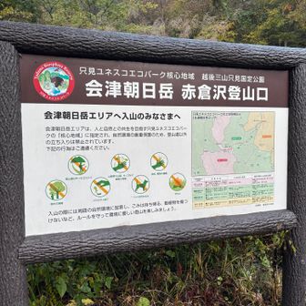 ここが駐車場🅿️
