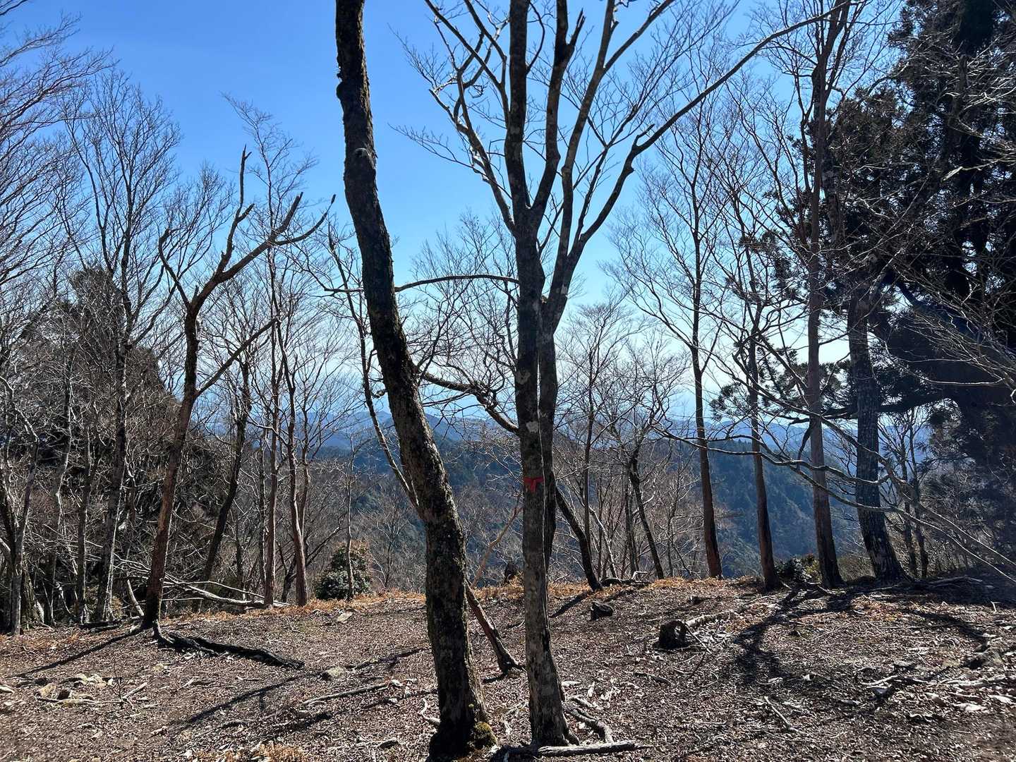 吉川山からの眺望
