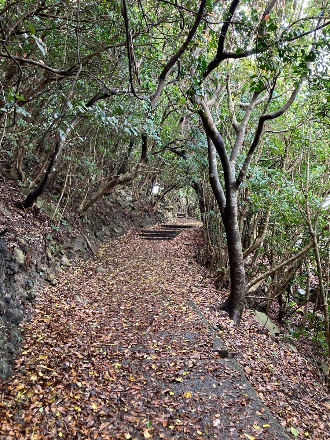 大瀬山 周回コースの写真
