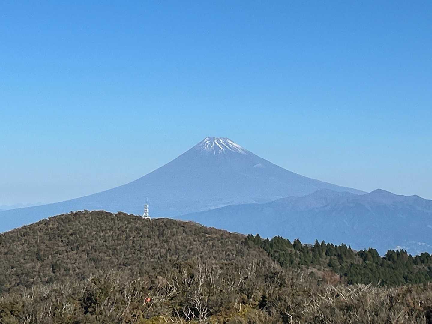 戸田峠-小達磨山-達磨山 往復コースの写真