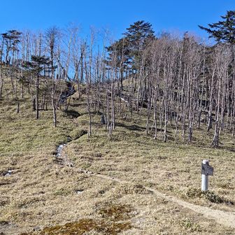 ここもルートを振り返ったところ。
破風山避難小屋があり、このルートで一番標高が下がります。ここからまた怒涛の登りです。ここからの西破風山、破風山、東破風山、雁坂嶺のアップダウンがなかなかにしんどいです。
岩場が増えてきます。