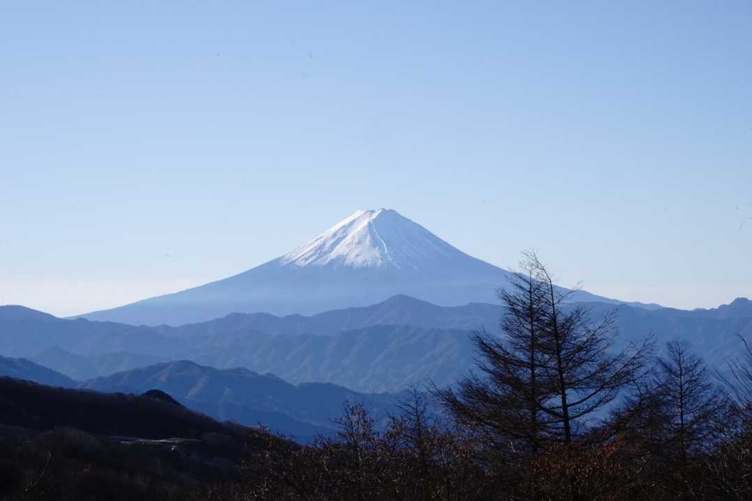 ここからははっきりと見れます