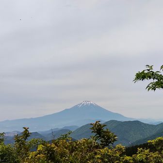 曇っていたわりに富士山はかなりはっきり見えてラッキー🗻