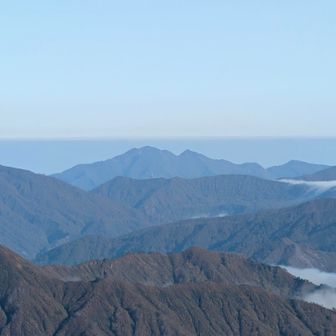 粟と一本