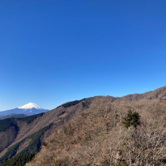 おっ、花立山荘
