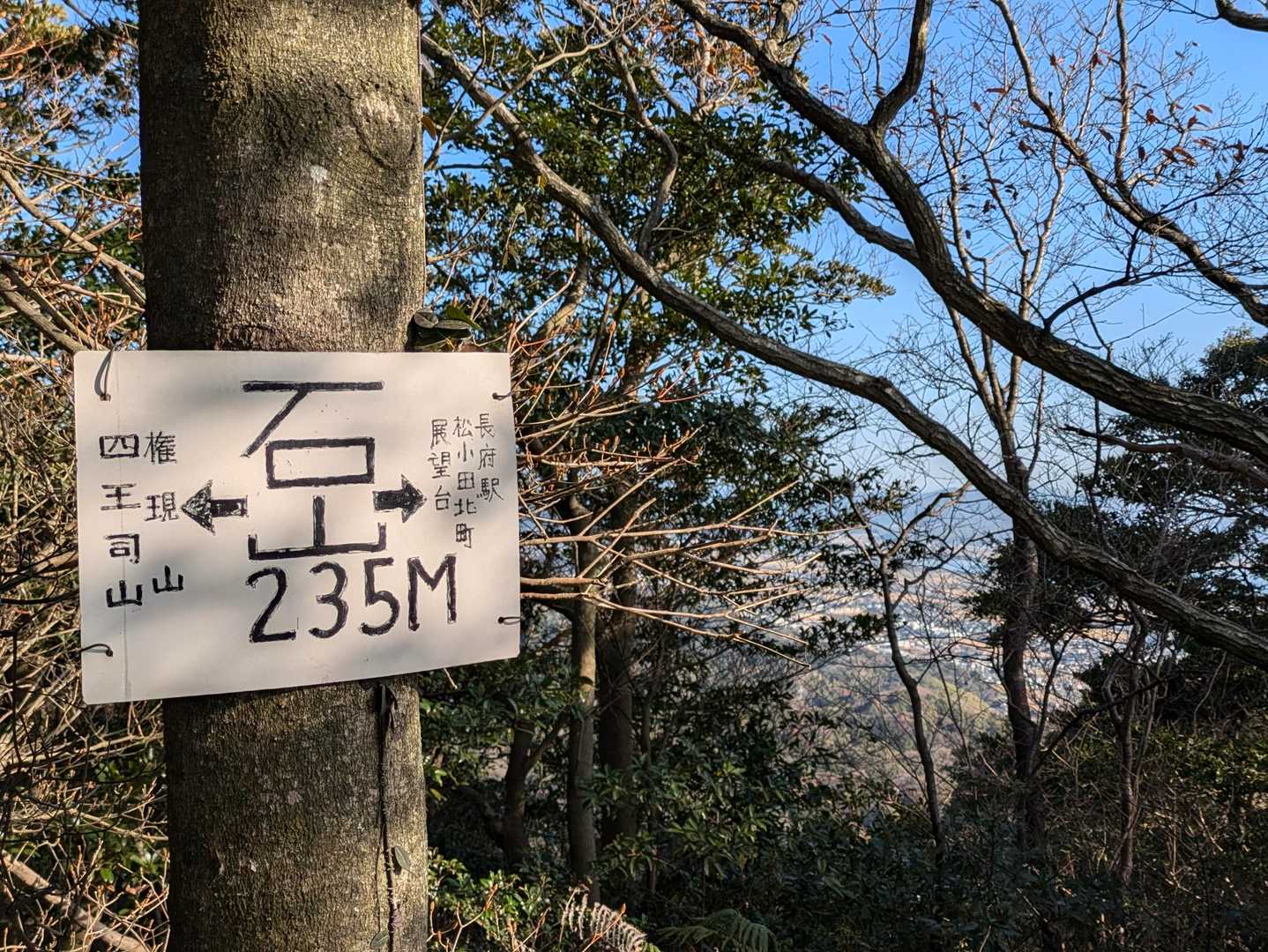 石山(253m)
久しぶり、この山も落ち着く山で好き🗻