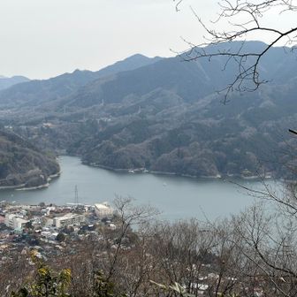 展望台から相模湖を一望
