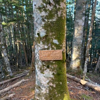 七面山最高地点1989Ⓜ️