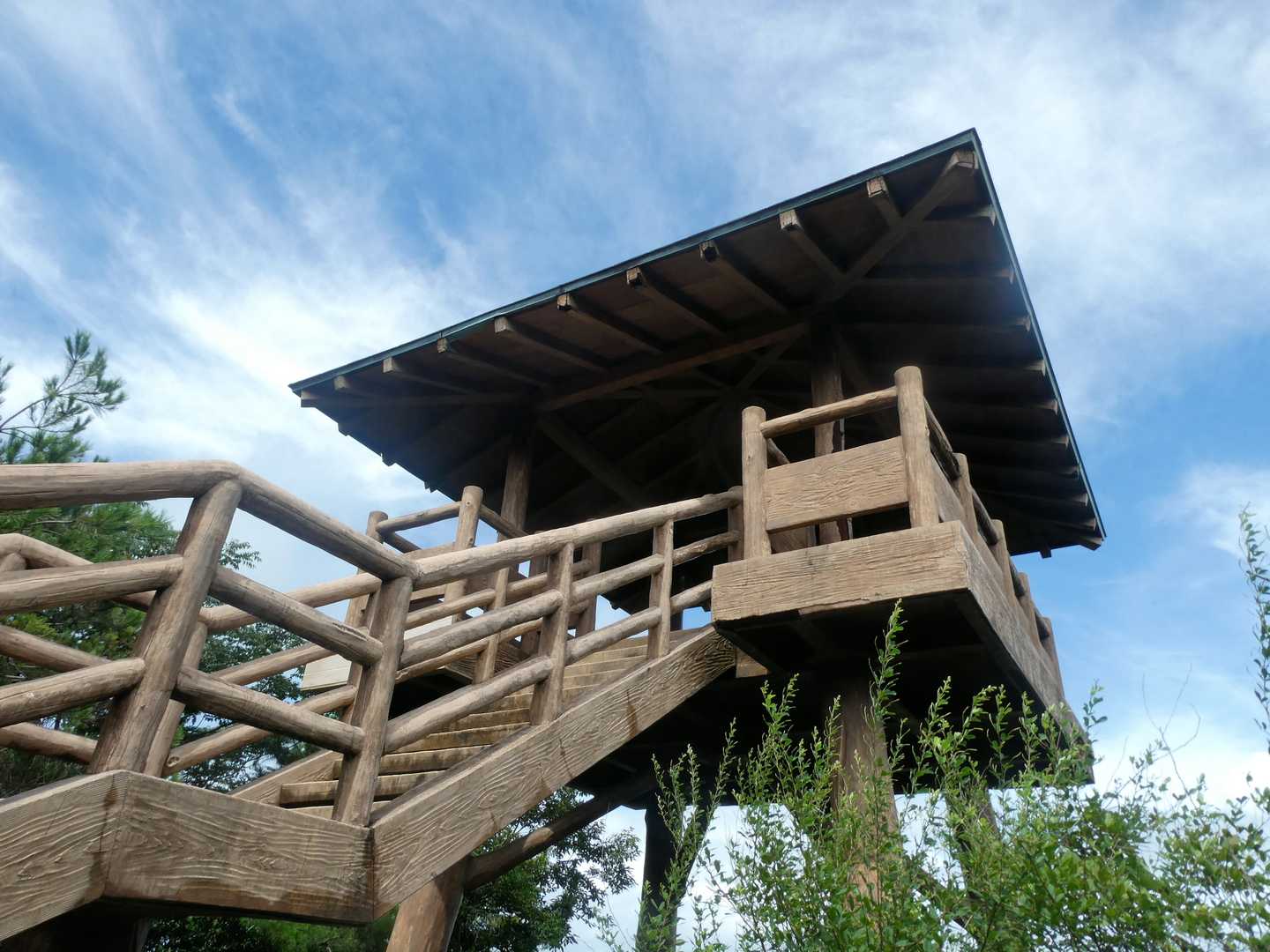 茶臼山 周回コースの写真