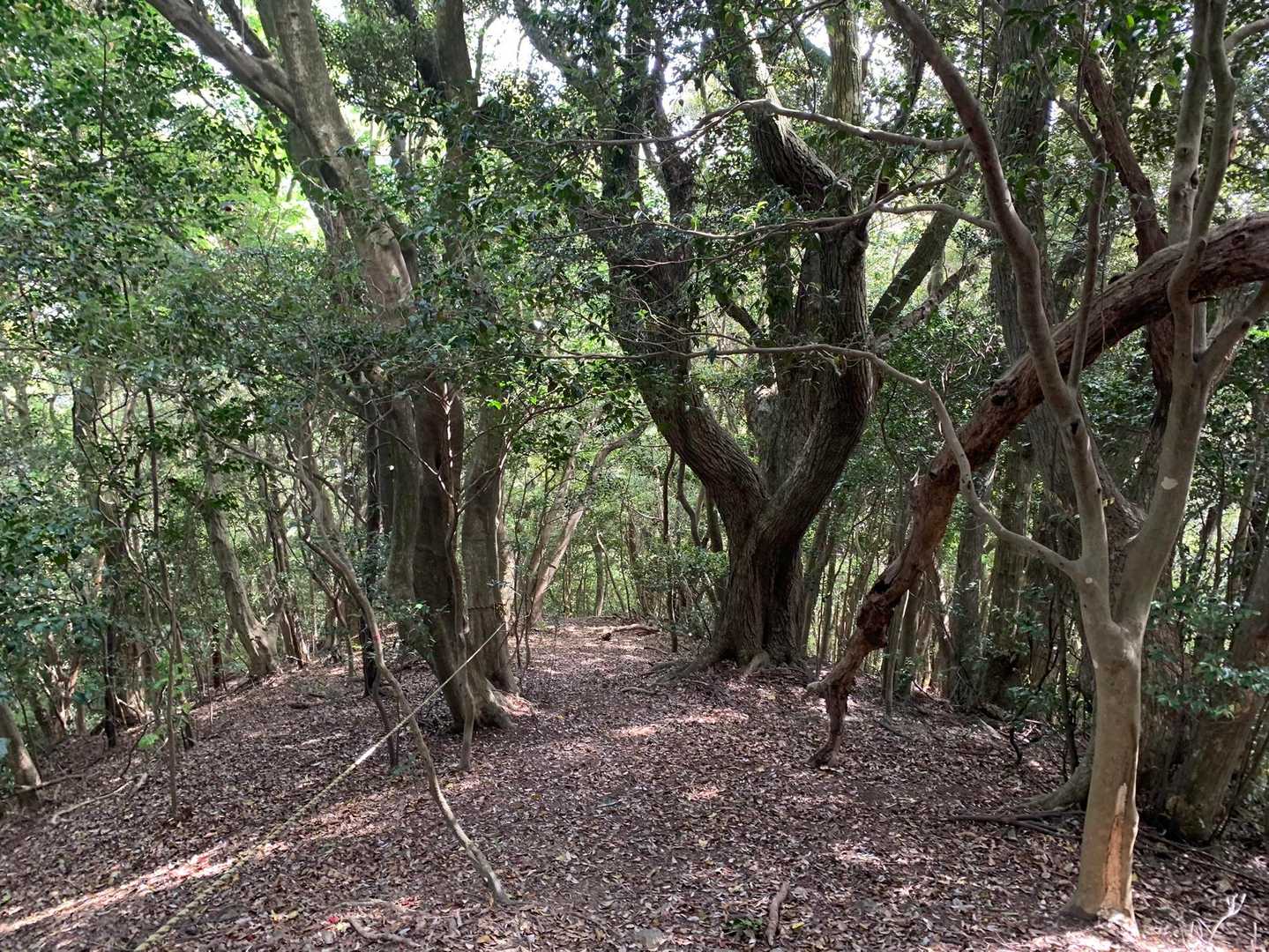 また来た道を戻ります💨
ロープを掴みながらの長い劇下りです😅
