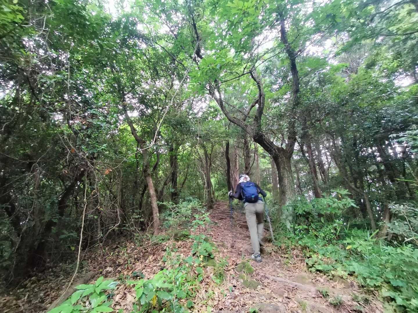 烏帽子山へ登るほうがちょい遠い