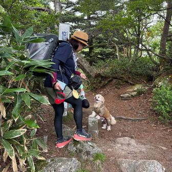 位山到着