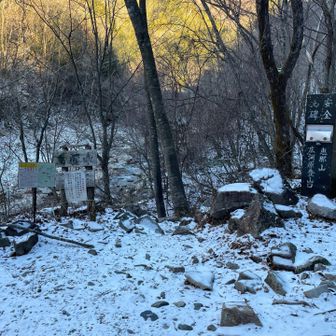 ここで左に入らないといけませんでした