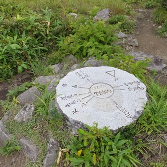 山頂
　三角点はやぶの中だったので行かず。