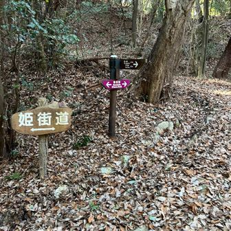 オレンジロード入る時に、姫街道あって、めちゃくちゃ行きたかった！！！駐車場がなかったから入れなかったけど、いつか歩きたい。気賀関所も行きたかった！こちらは近い未来に行く。東海道がきつかった姫たちがこちらを通ったのでございます。御油まで続きます❤️❤️❤️