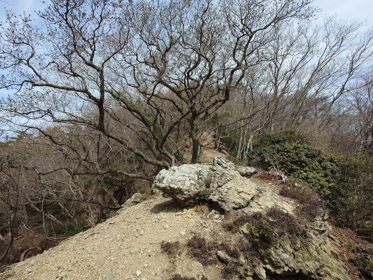 来坂神社-鼻高山 往復コースの写真