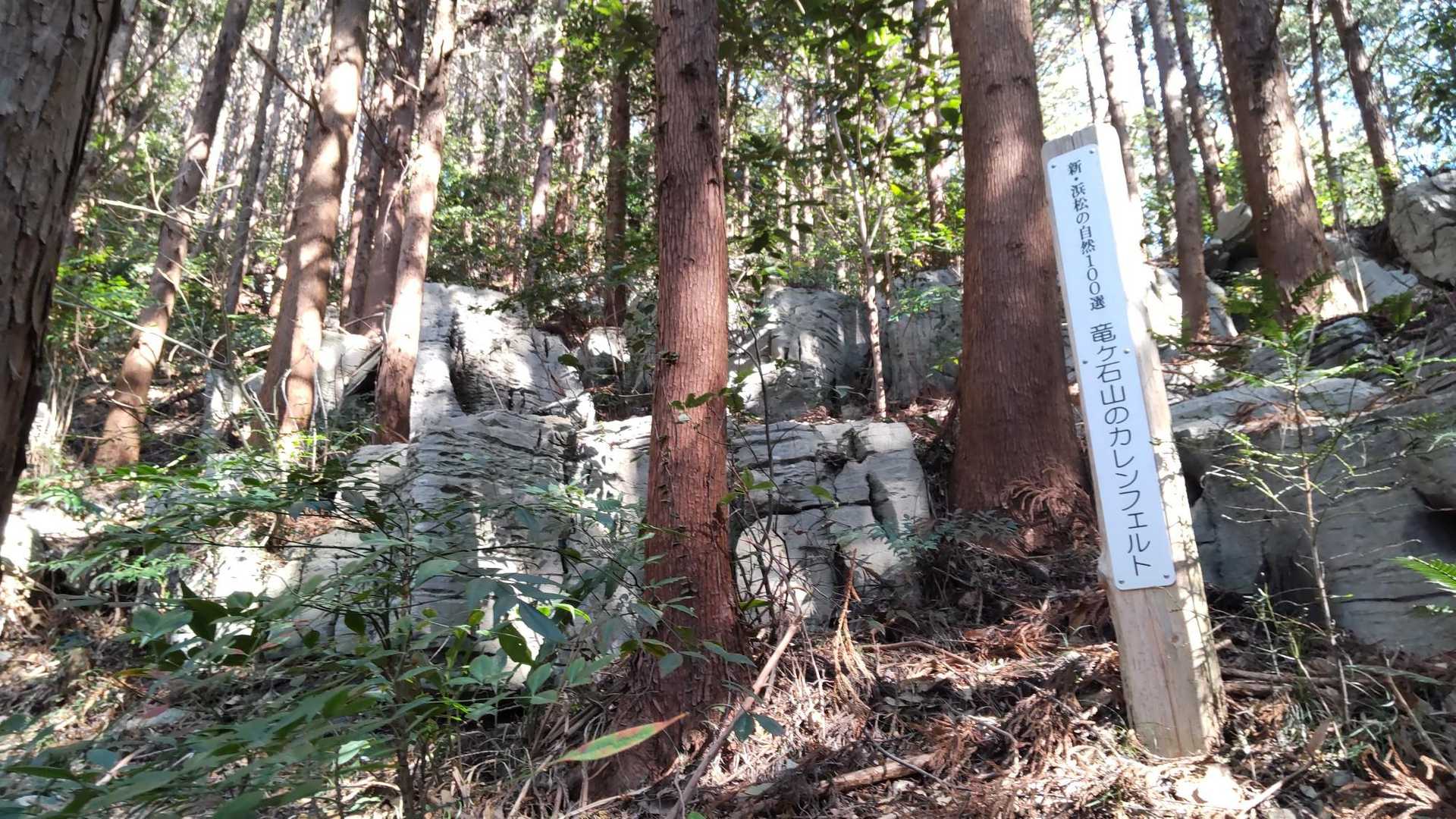 竜ヶ石山 周回コースの写真