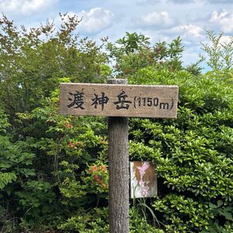 四座目渡神岳
ここは開けて明るい😀

釈迦ヶ岳・御前岳とともに津江三山と呼ばれている