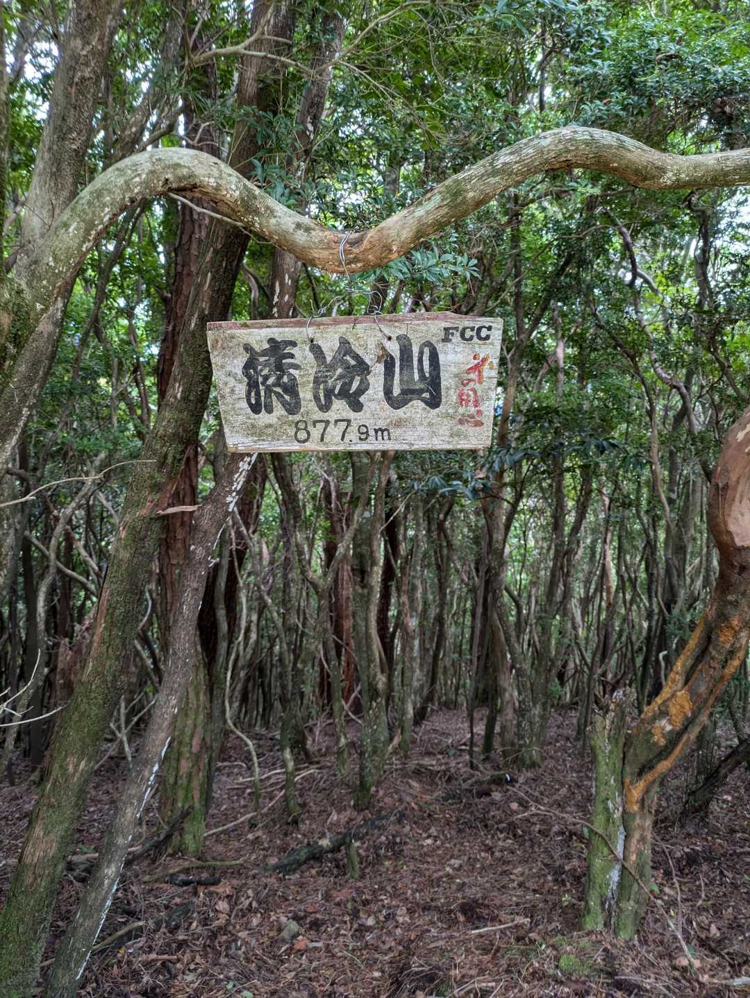 こちらにも山名板😀