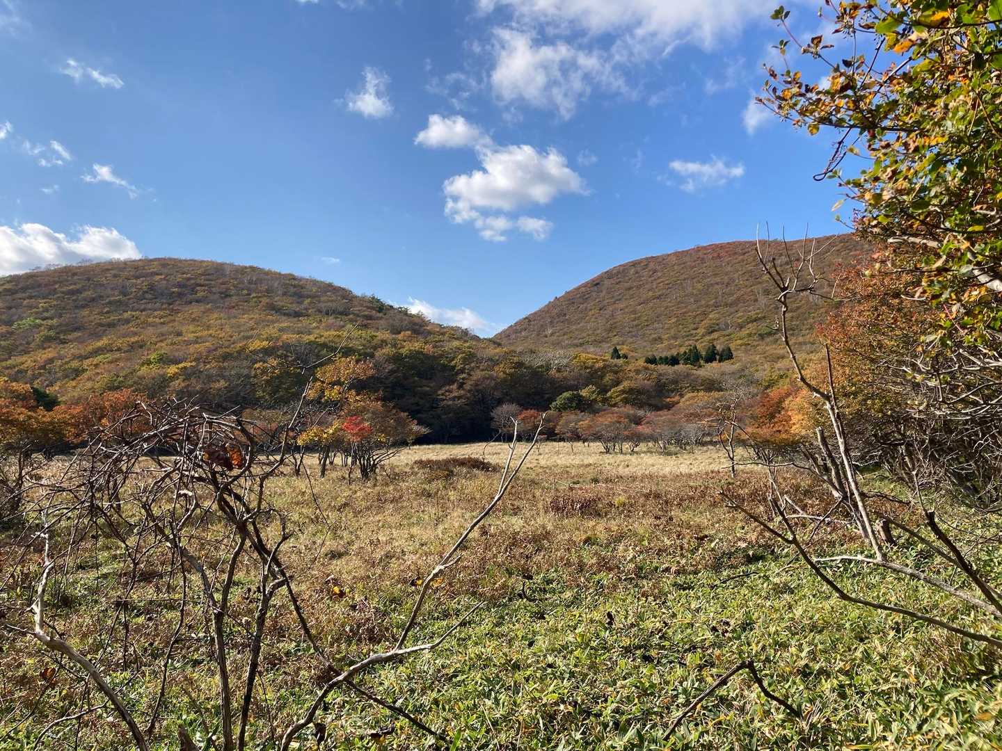 振り返る

恵山御殿山、海向山
ありがとうございました✨