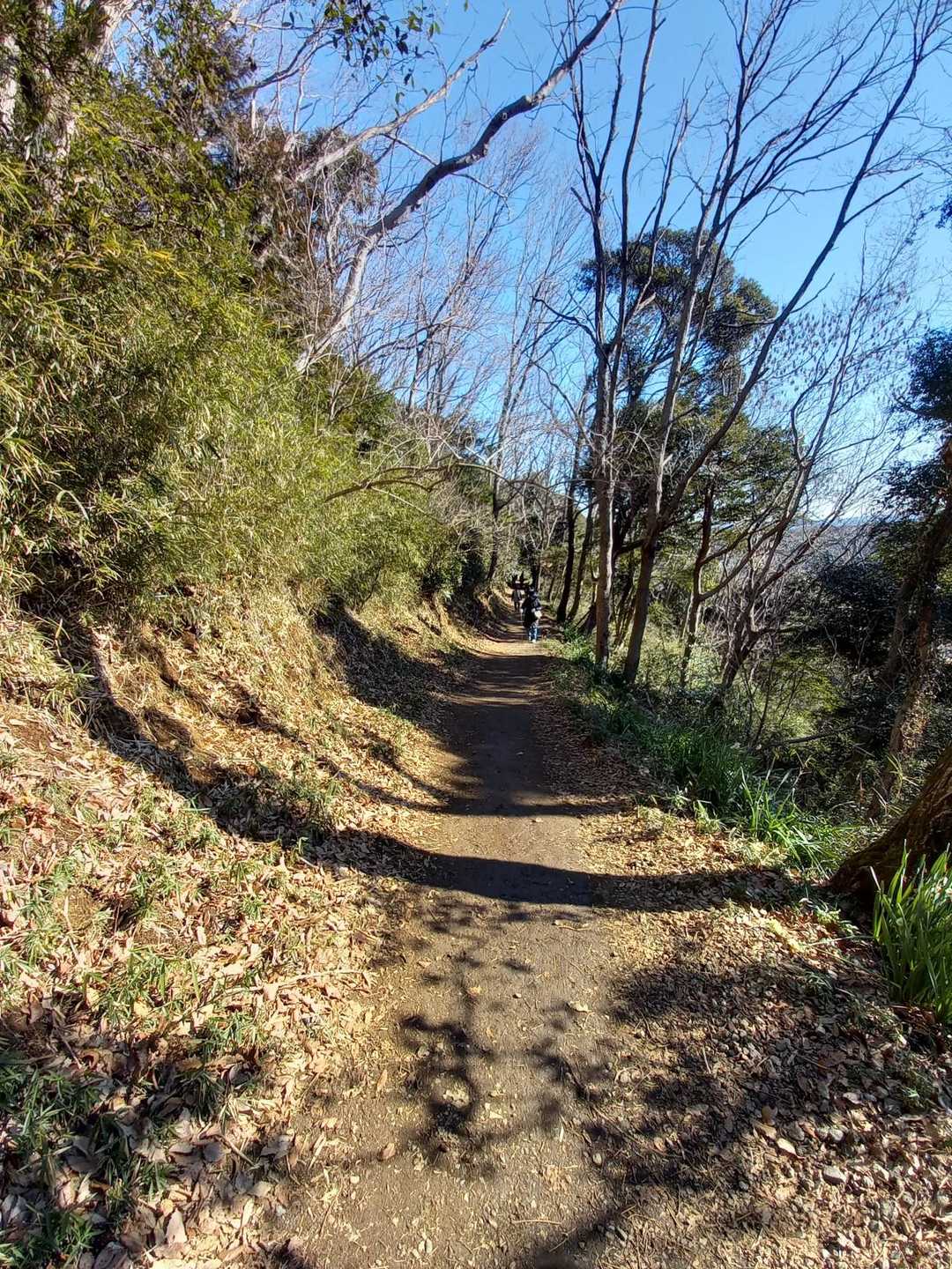 続々とくるハイカーさん。
急なところもなく、近くに住んでいたら朝のお散歩にぴったりなお山ですね✨
暖かい日差しや、出会う方々との挨拶やちょっとした触れ合い、気持ちの良い朝の時間を過ごせました😊