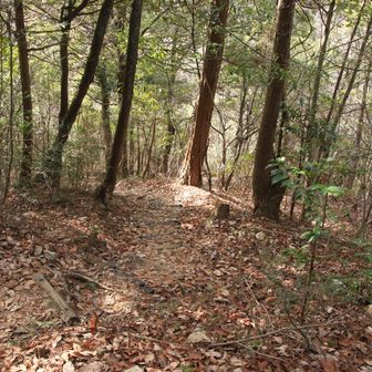 ここも激降りだけどしっかりしていました👍