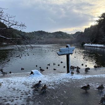 帰りに寄り道、五十公野公園