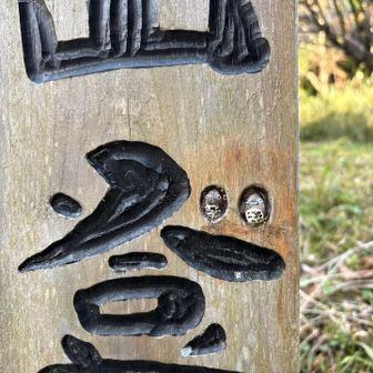 登山口の看板にはかわいいトトロちゃん💕
見送られてるみたい😊
いってきまーす

運動不足を気にしてて夜な夜な歩きに出かける次女だけど一応女子だから親としては心配してしまう