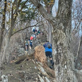 大会だからと気を遣い、少し歩いては止まり、後ろを気にしては止まり。100人くらいって言ってたけど、お姉さんのゼッケン222とかなってるけど😨