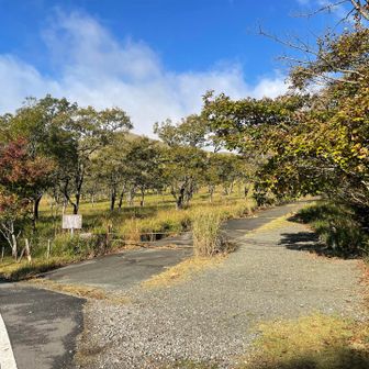 さぁて、スタート‼️
腰は大丈夫かなぁ。。。