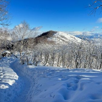 北峰へ

この眺め好きです♪