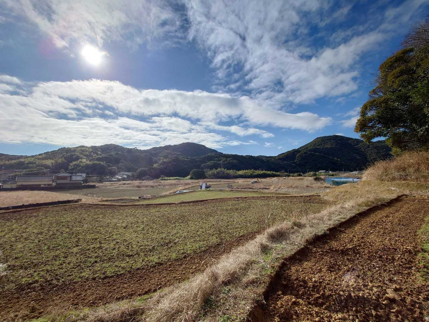 畑の準備がされゆうねぇ